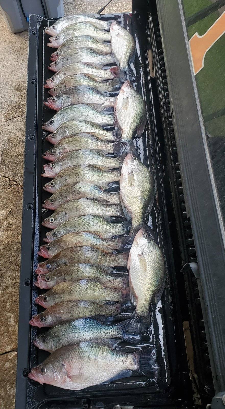 Open Water Suspended Crappie  Tennessee Hunting & Fishing Forum