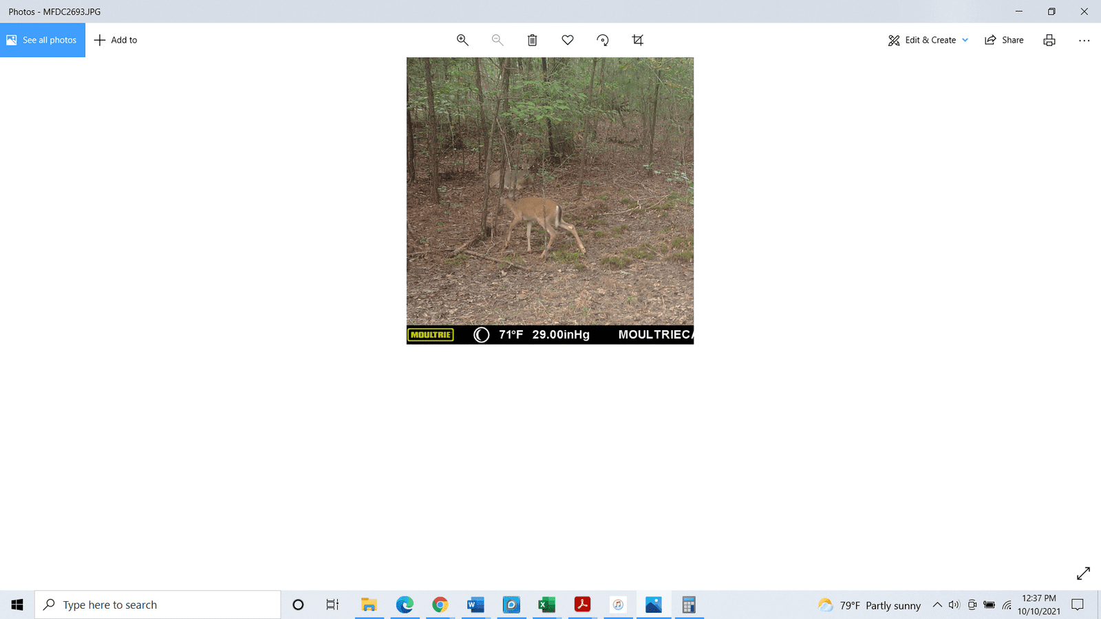 game cam small.png