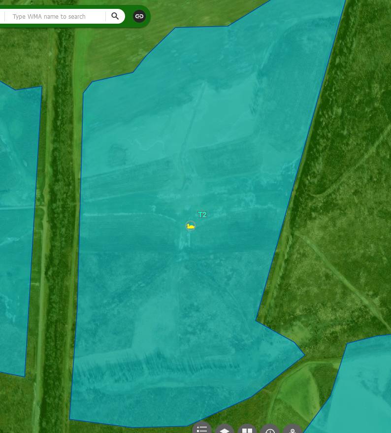 Thorny Cypress Pool 2 Map.jpg