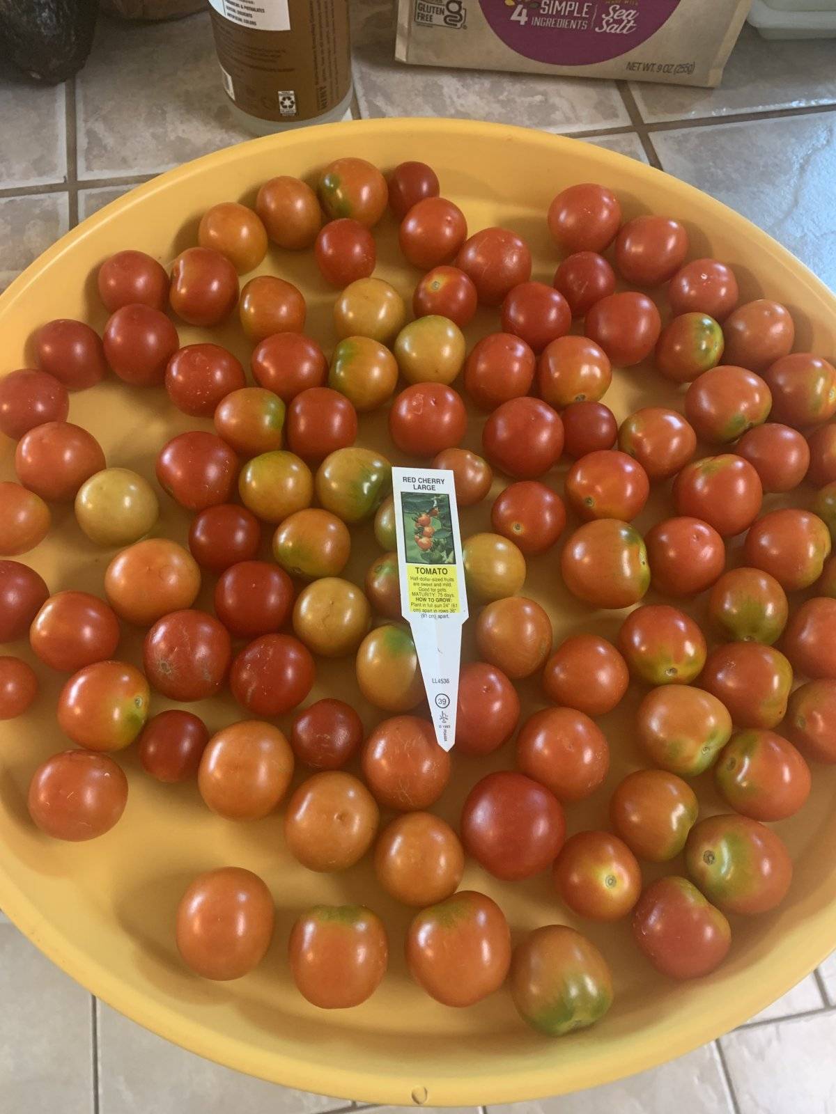 Tomatoes cherry.jpg